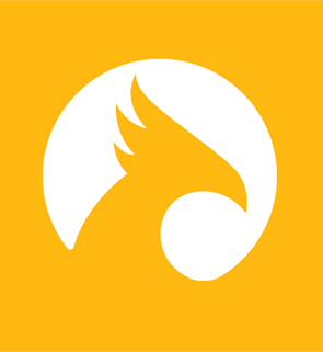 Phoenix FD - Workstation - 1 rok